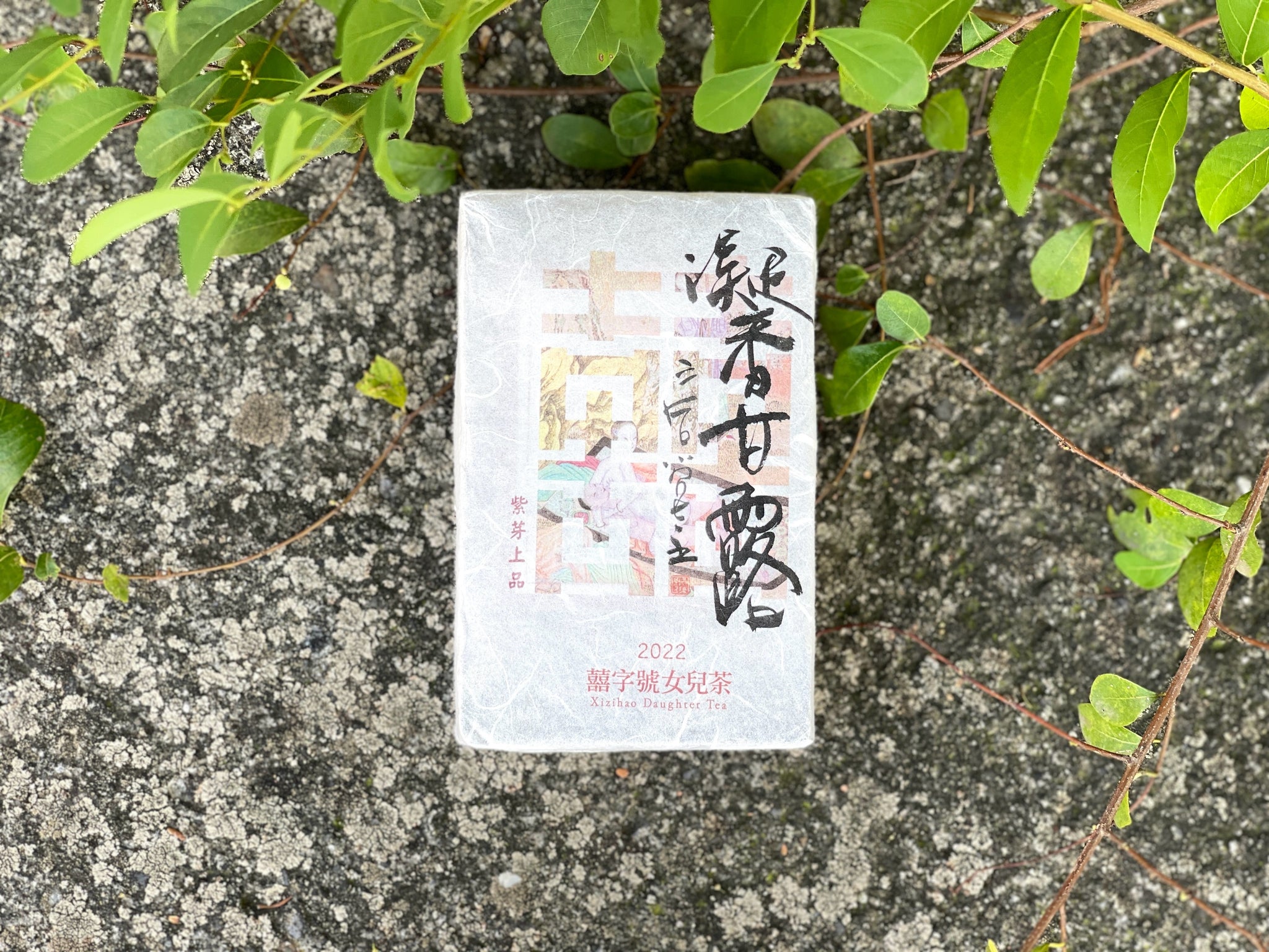 チャムページ Teas of 2022 – Xizihao Daughter Tea