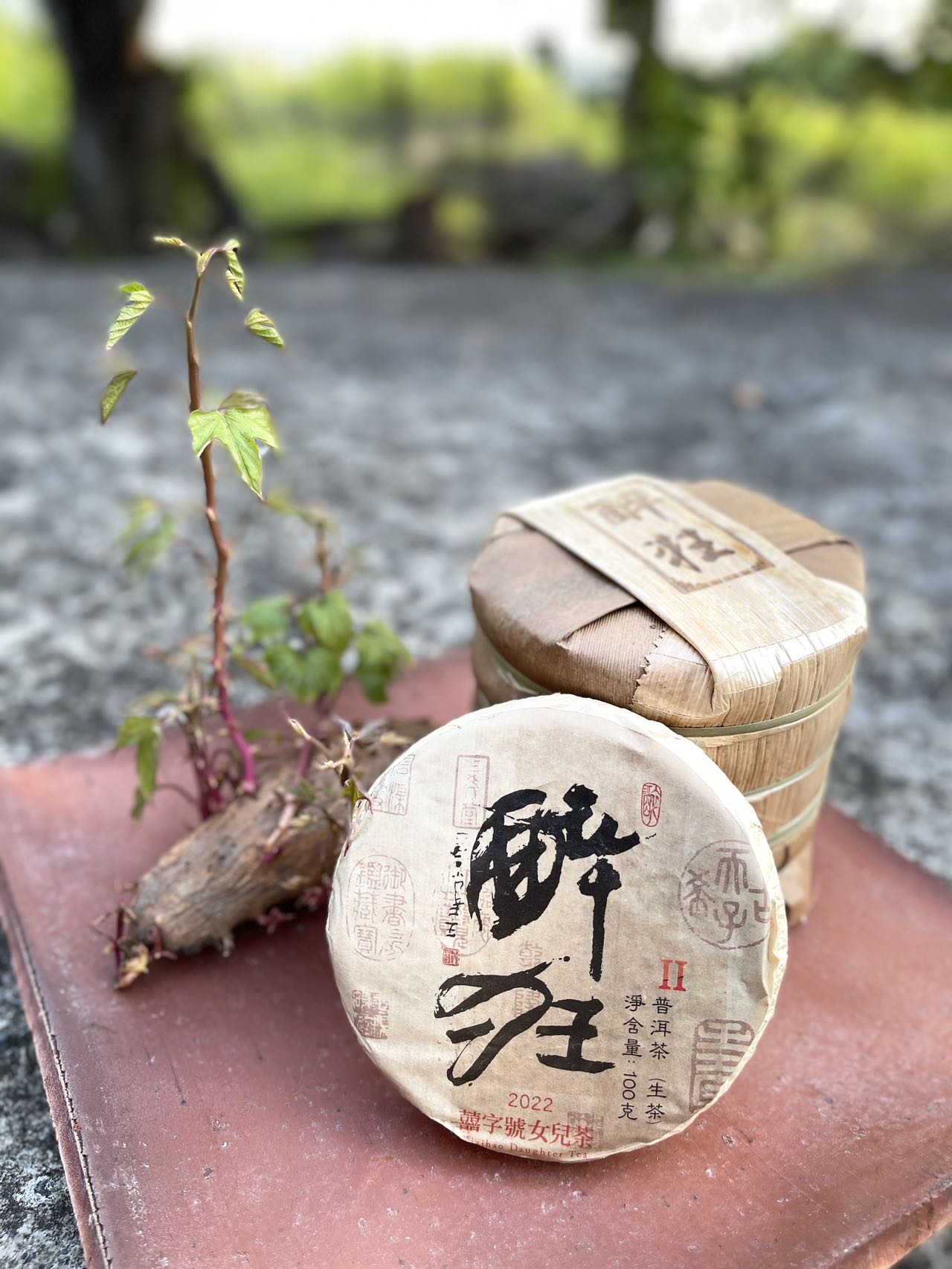 Teas of 2022 – Xizihao Daughter Tea